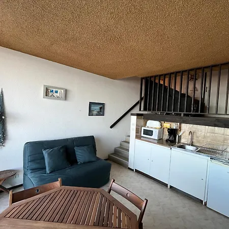 Aiguillon - Duplex T1 A Deux Pas De La - Fr-1-319-71 * Arcachón