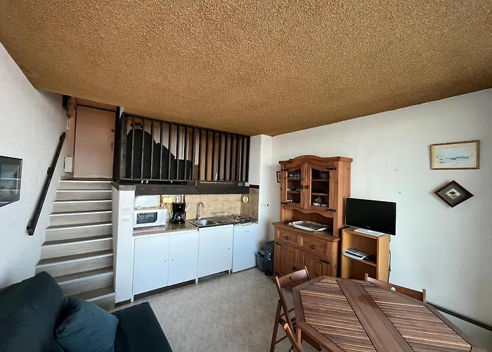 Apartamento Aiguillon - Duplex T1 A Deux Pas De La - Fr-1-319-71 *